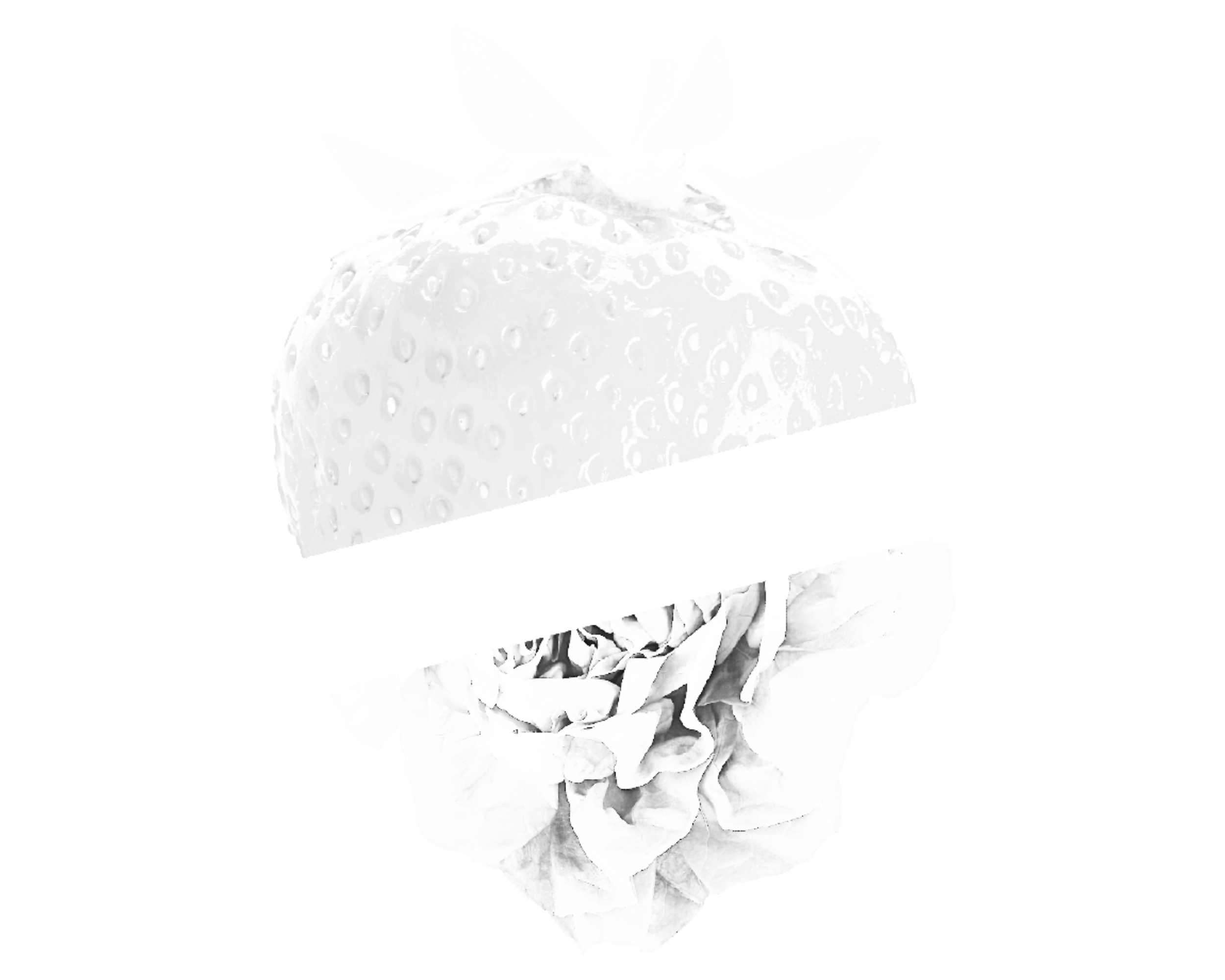 FreshPaper